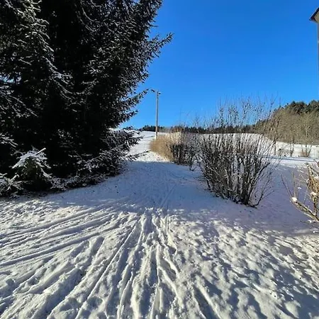 Franzis Feriendomizil Im Herzgebirge Am Skihang Auerbach  Extérieur photo