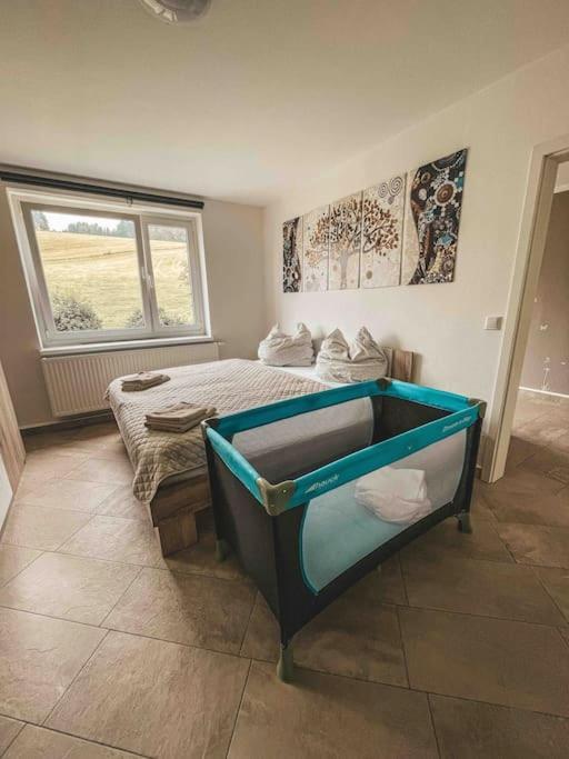 Franzis Feriendomizil Im Herzgebirge Am Skihang Apartment *