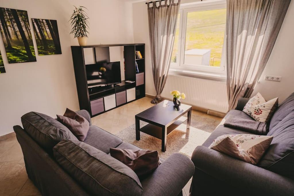 Apartment Franzis Feriendomizil Im Herzgebirge Am Skihang *