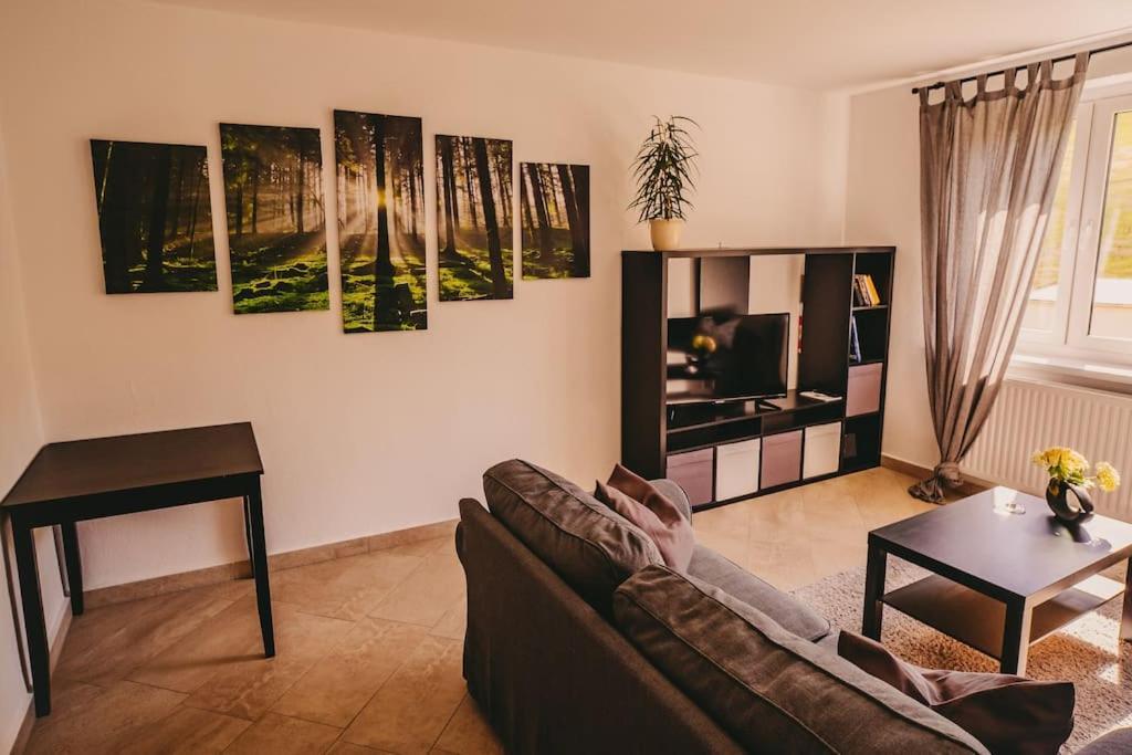 Apartment Franzis Feriendomizil Im Herzgebirge Am Skihang