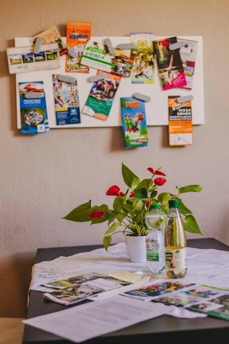 Franzis Feriendomizil Im Herzgebirge Am Skihang Apartment *