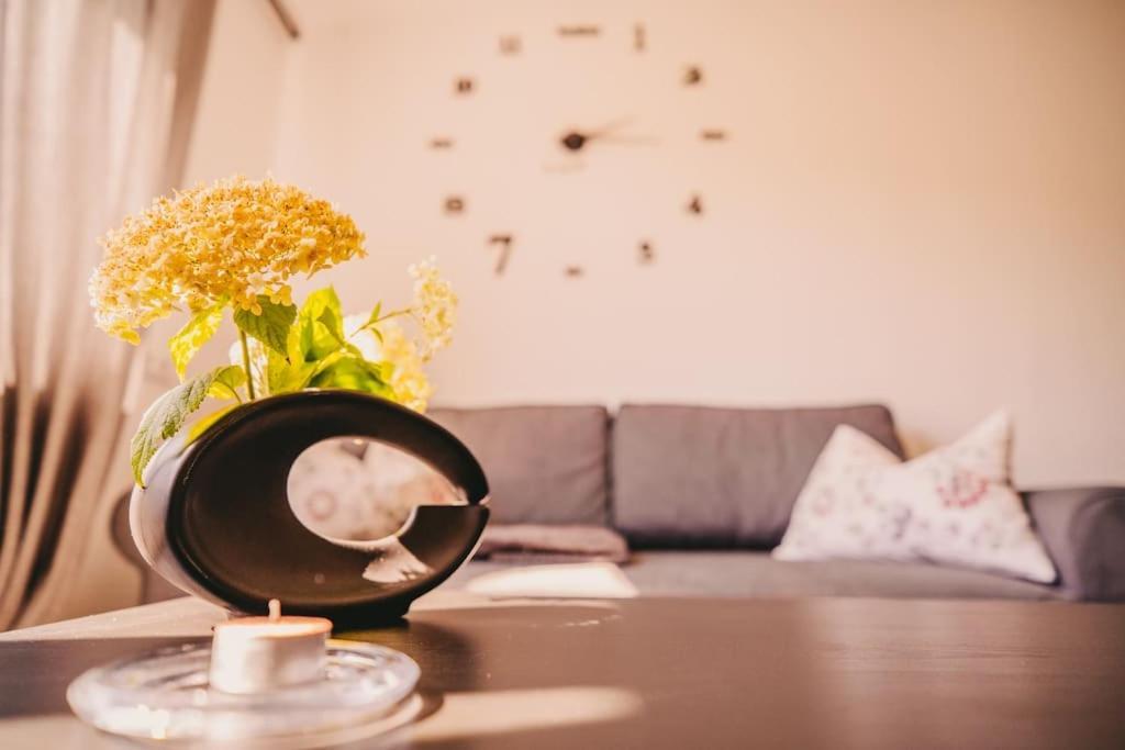 Apartment Franzis Feriendomizil Im Herzgebirge Am Skihang